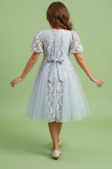 صورة فستان أزرق أنيق مزين بالتل على الفستان